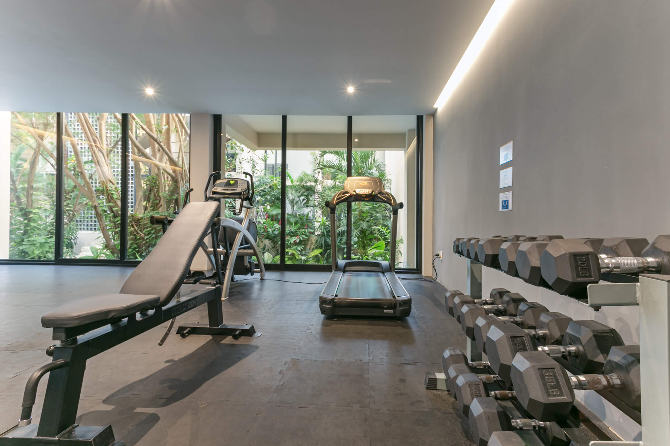 KAAB At the park : Grupo Origen