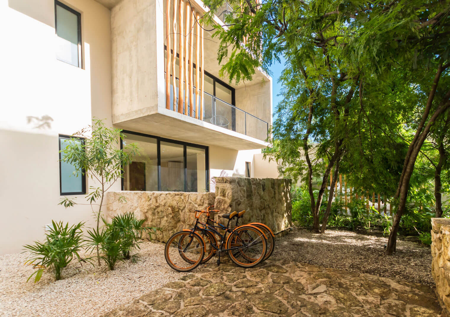 SESSILE : Grupo Origen