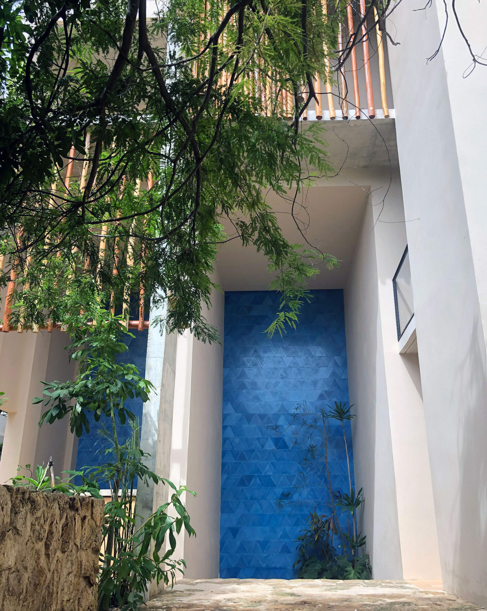 SESSILE : Grupo Origen